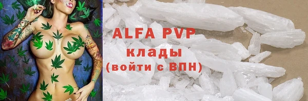 сатива Армянск