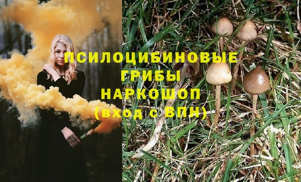 сатива Армянск