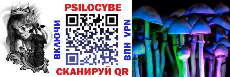 продажа наркотиков  Сельцо  Псилоцибиновые грибы Psilocybe 